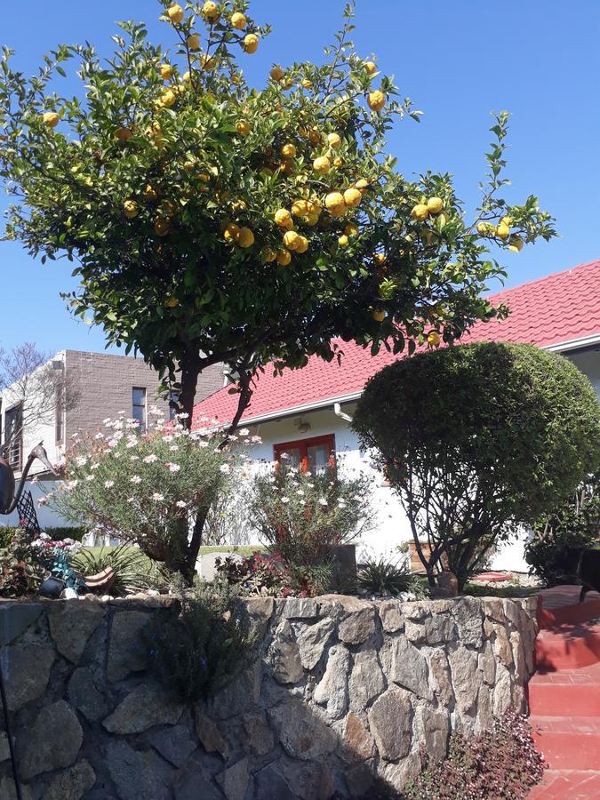 Mizizi House Of Sandton B & B Johannesburg Eksteriør billede